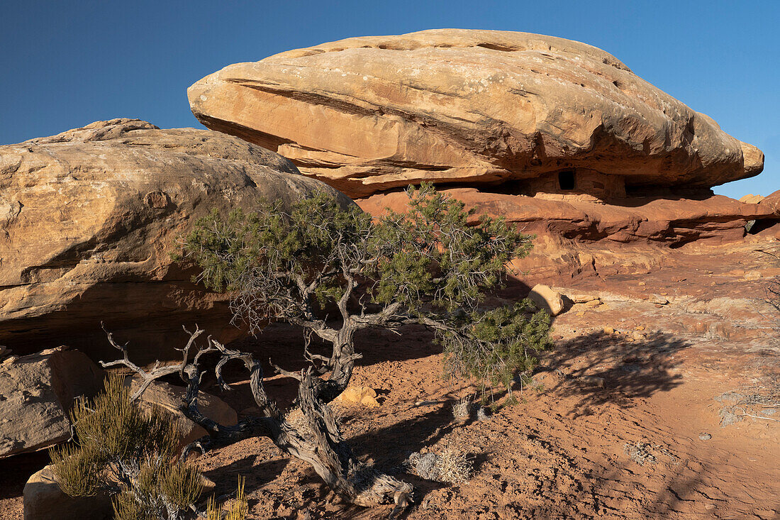 USA, Utah. Caprock Ruine, Cedar Mesa, Bears Ears National Monument.