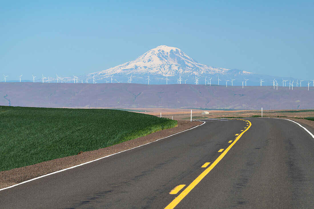 Mount Adams vom Oregon Highway 206 bei Wasco, Oregon aus gesehen