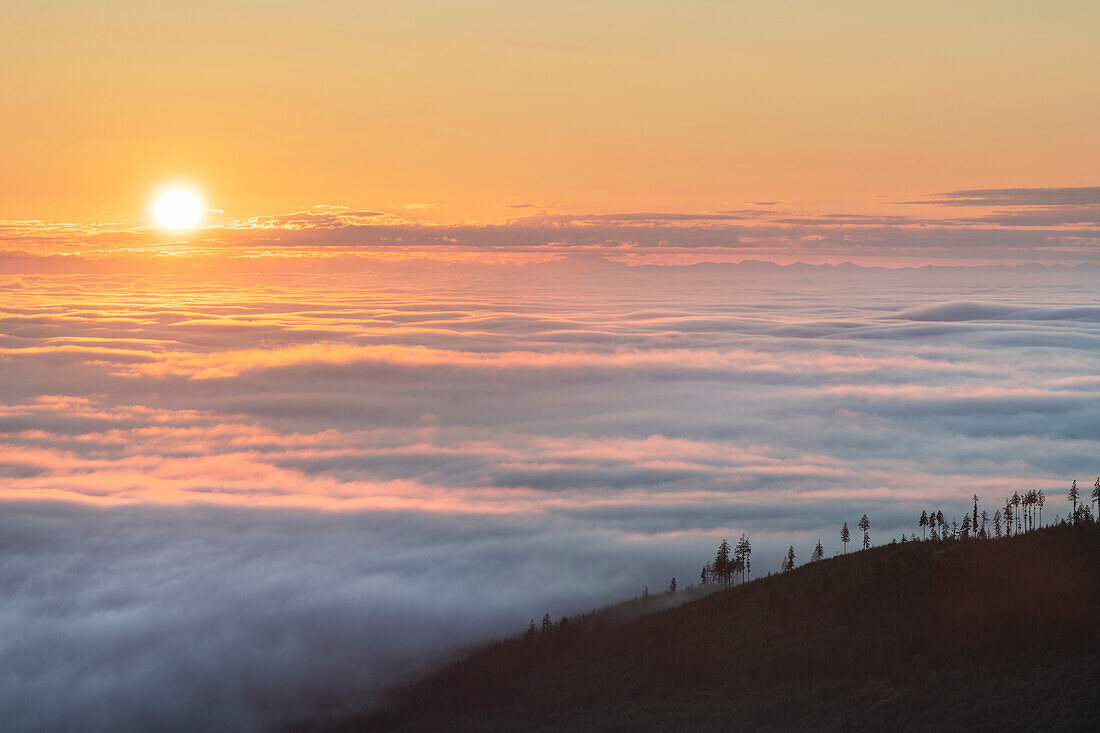 Nebel über den Olympic Mountains bei Sonnenaufgang, Bundesstaat Washington