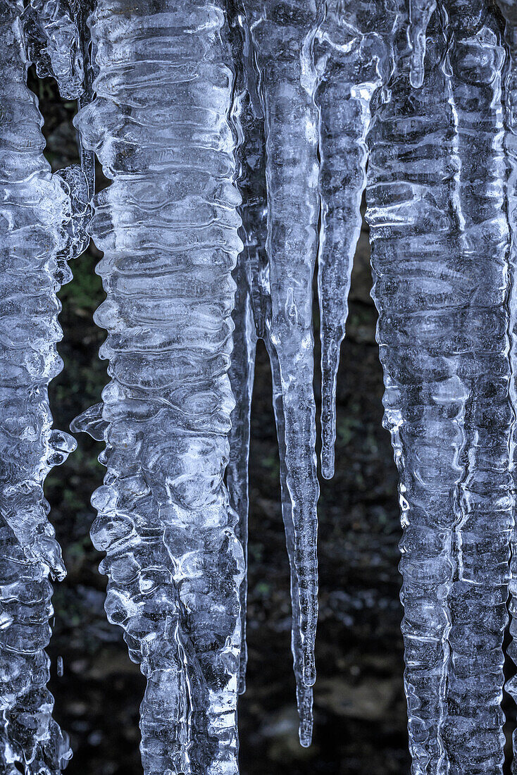 USA, Washington State, Seabeck. Close-up of icicles.