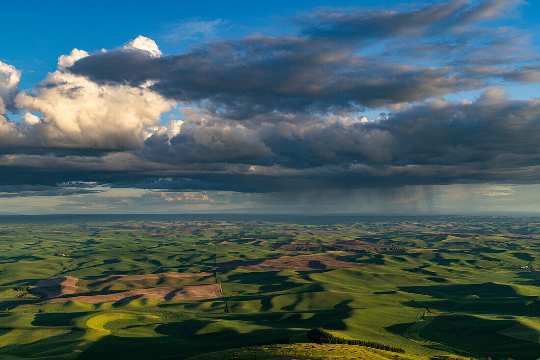 Gewitterwolken über sanften Hügeln von Steptoe Butte bei Colfax, Bundesstaat Washington, USA