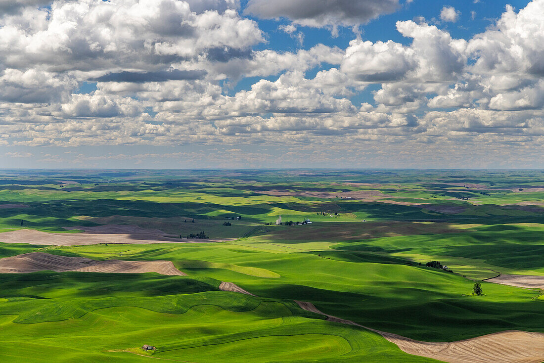 Gewitterwolken über sanften Hügeln von Steptoe Butte bei Colfax, Bundesstaat Washington, USA