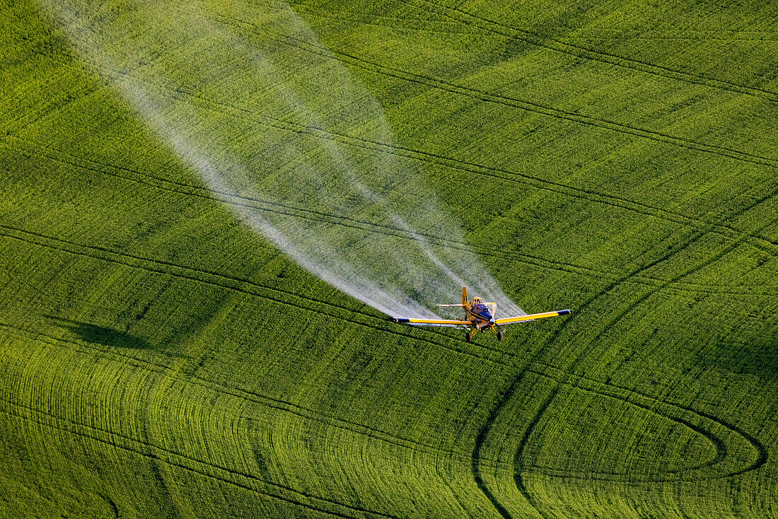 Sprühflugzeug beim Ausbringen von Chemikalien auf Weizenfeldern von Steptoe Butte bei Colfax, Bundesstaat Washington, USA