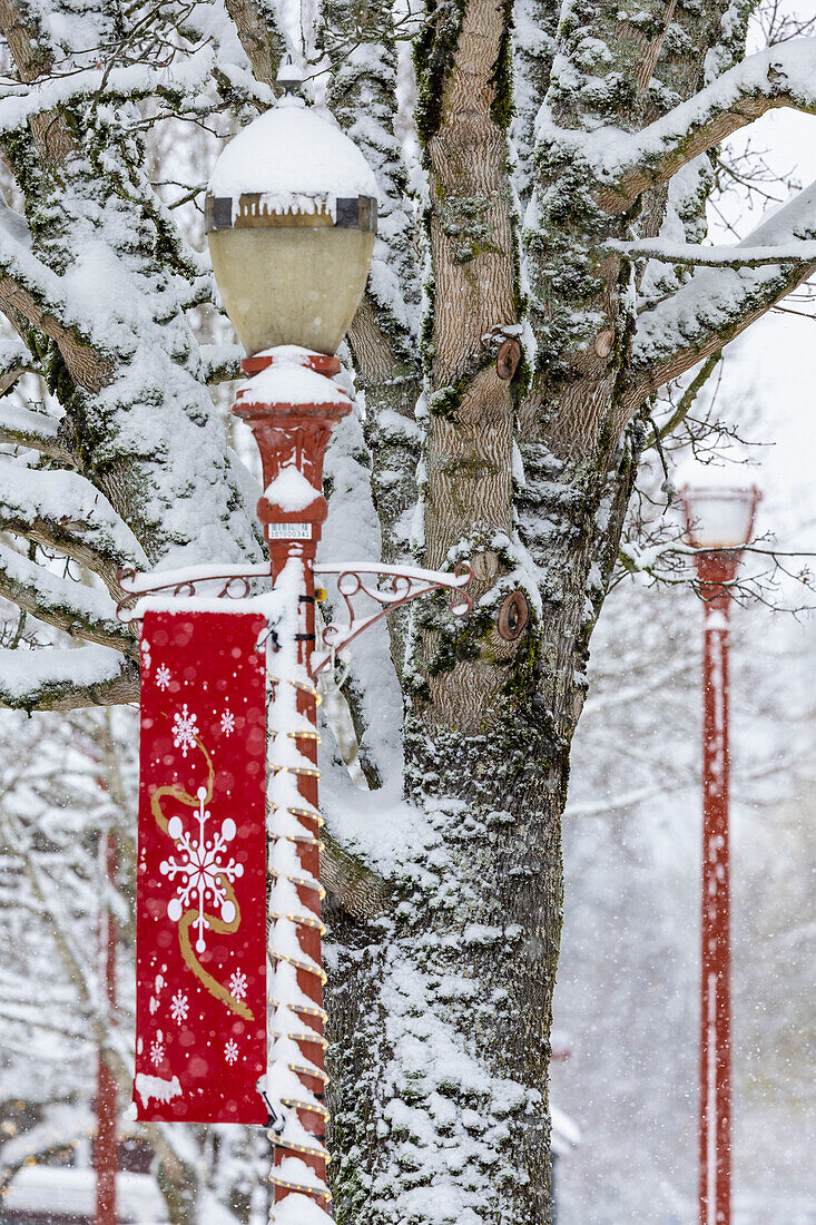 USA, Washington State, Issaquah with fresh fallen snow and red lamppost with Christmas decorations