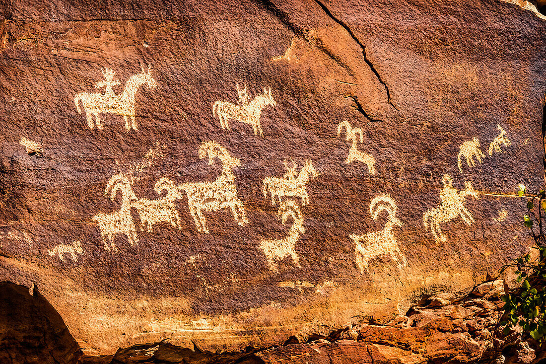 Ute Indian petroglyphs, Arches National Park, Moab, Utah, USA. Created 1650 to 1850 AD glyphs are of sheep, horses and dogs