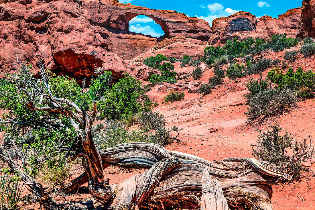 Skyline Arch, Arches National Park, Moab, Utah, USA.