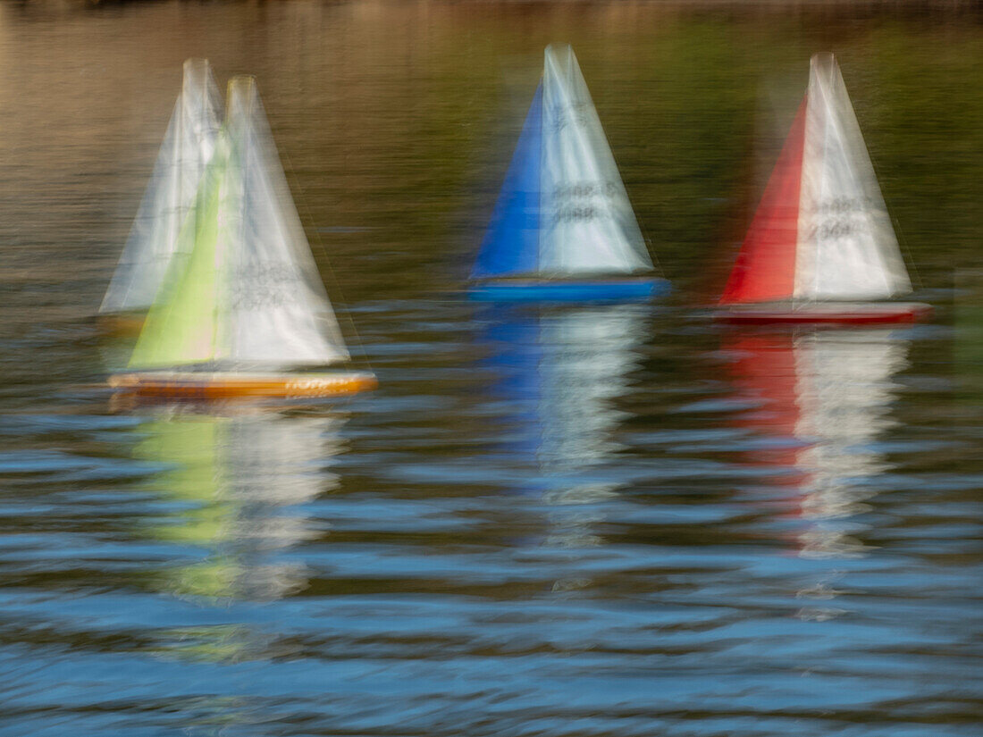 Usa, Washington State, Renton. Model yacht club remote control sailboats at Gene Coulon Park on Lake Washington.