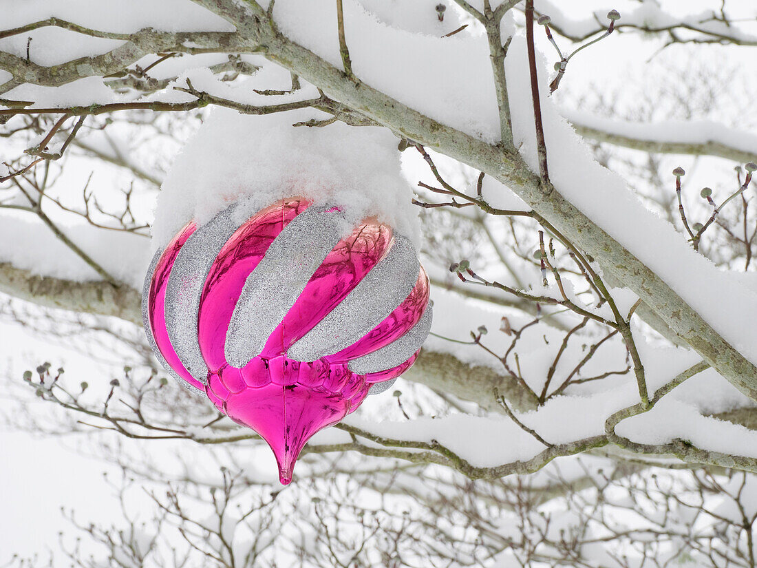 Washington State, Christmas ornament and snow