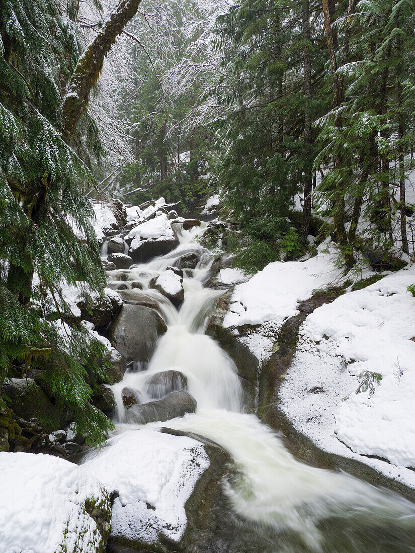 Bundesstaat Washington, Zentrale Kaskaden. Martin Creek