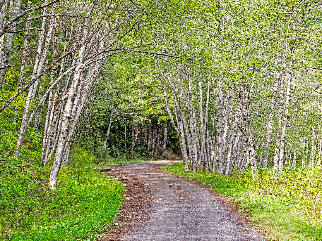 USA, Washington State, Old Cascade Highway off of Highway 2