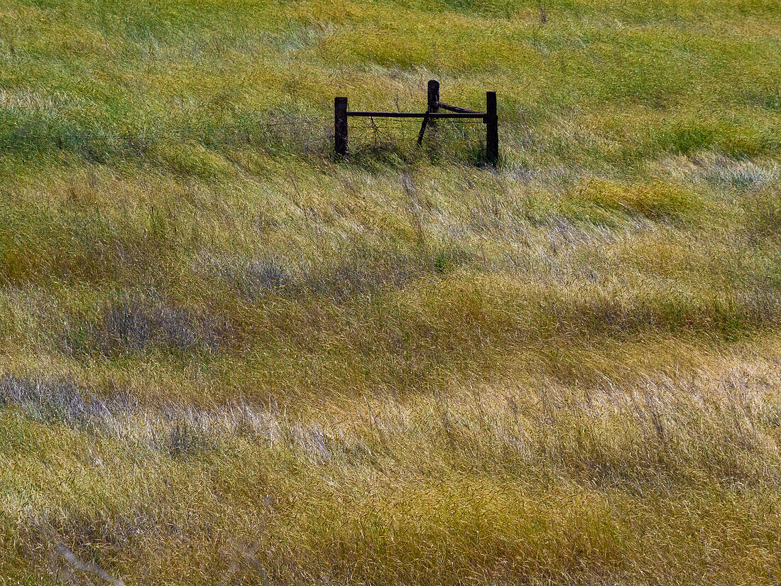 USA, Bundesstaat Washington, Palouse mit hölzernen Zaunpfählen in einem Grasfeld