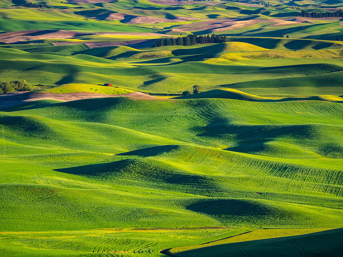 USA, Washington State, Palouse und Steptoe Butte State Park Blick auf Weizen und Raps