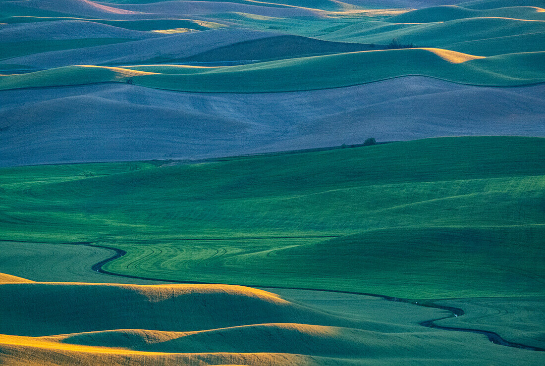 USA, Washington State, Palouse and Steptoe Butte State Park view of Wheat fields last light