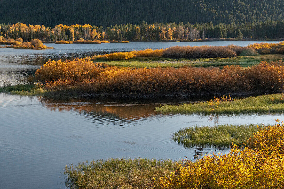 USA, Wyoming. Herbstabend an der Oxbow Bend, Grand Teton National Park.