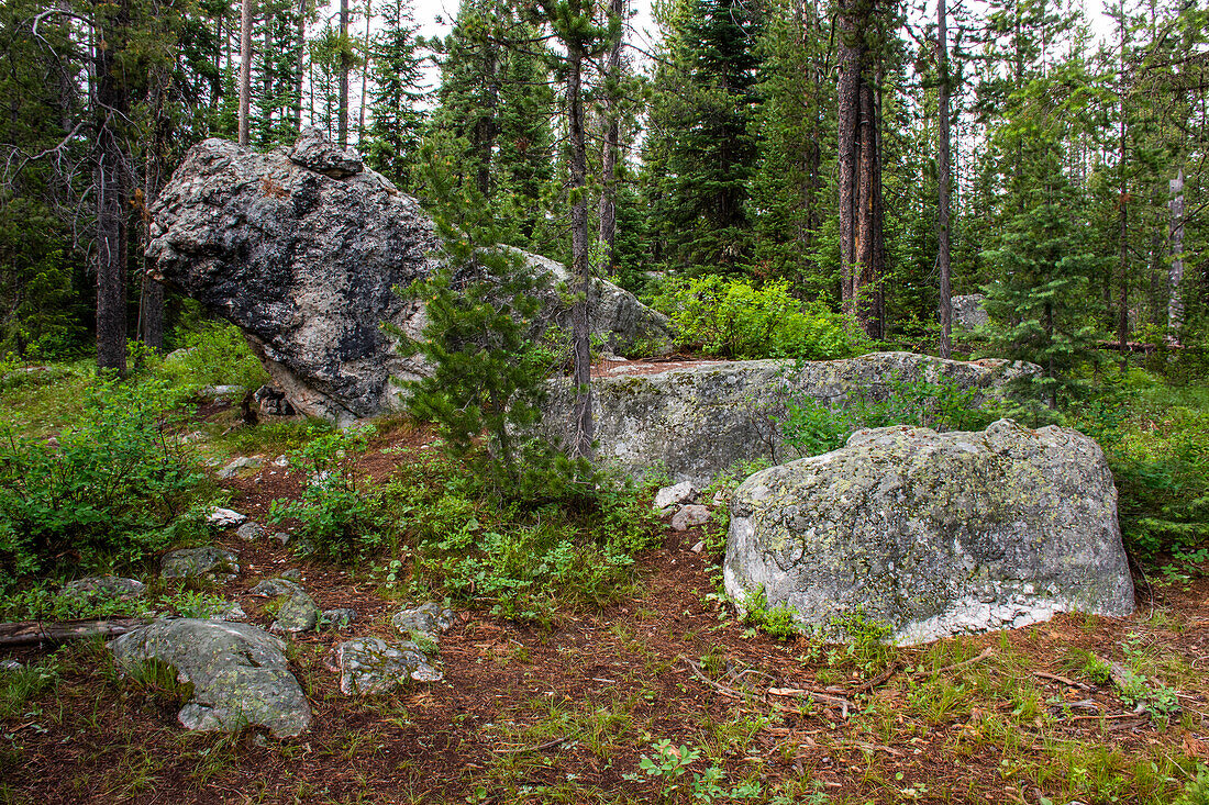 Glacial erratic boulders, Grand Tetons National Park, Wyoming, USA