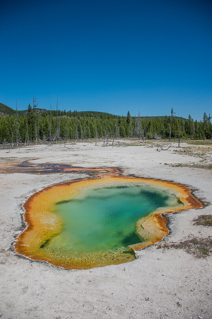 Avoca-Quelle, Yellowstone-Nationalpark, Wyoming, USA