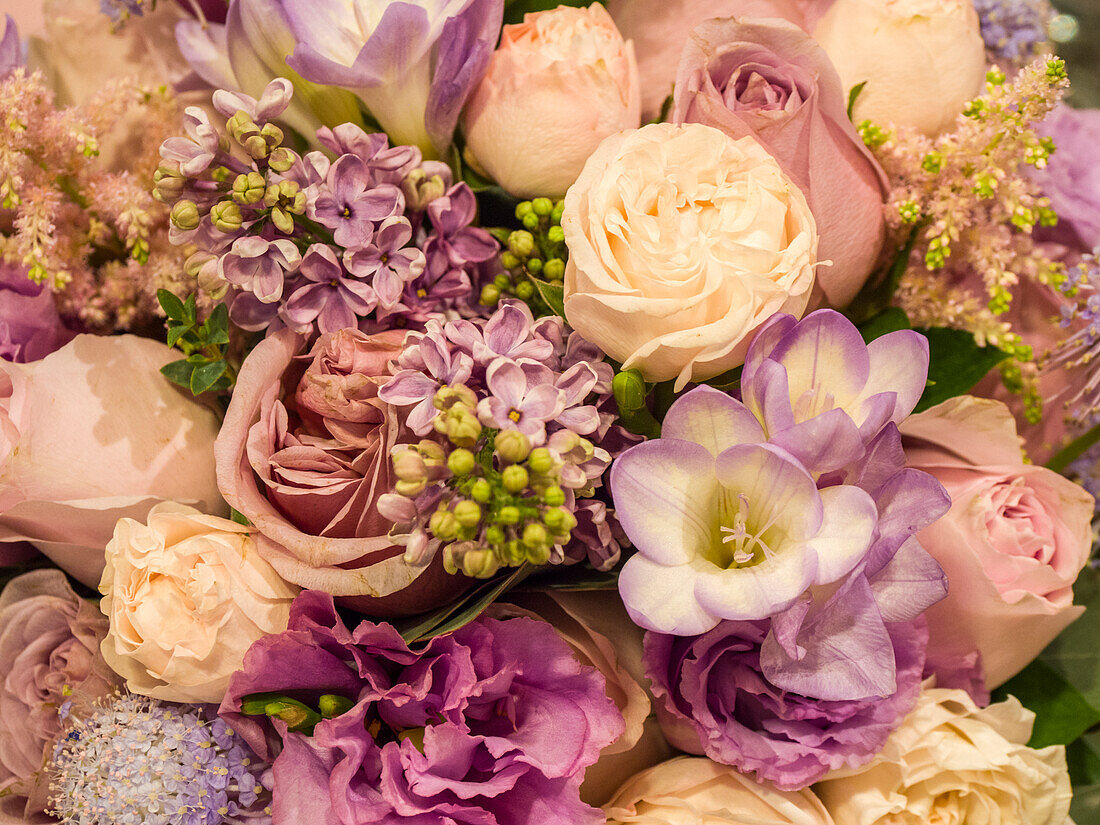 China, Hong Kong. Flower market.