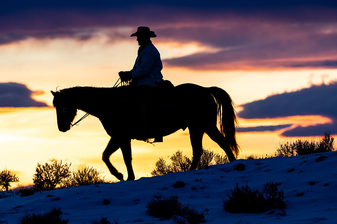 USA, Shell, Wyoming. Cowboy der Hideout Ranch auf dem Pferderücken bei Sonnenuntergang. (PR,MR)