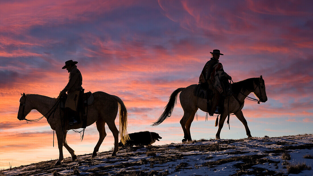 USA, Shell, Wyoming. Hideout Ranch cowgirls and dog silhouetted against sunsets sky. (PR,MR)