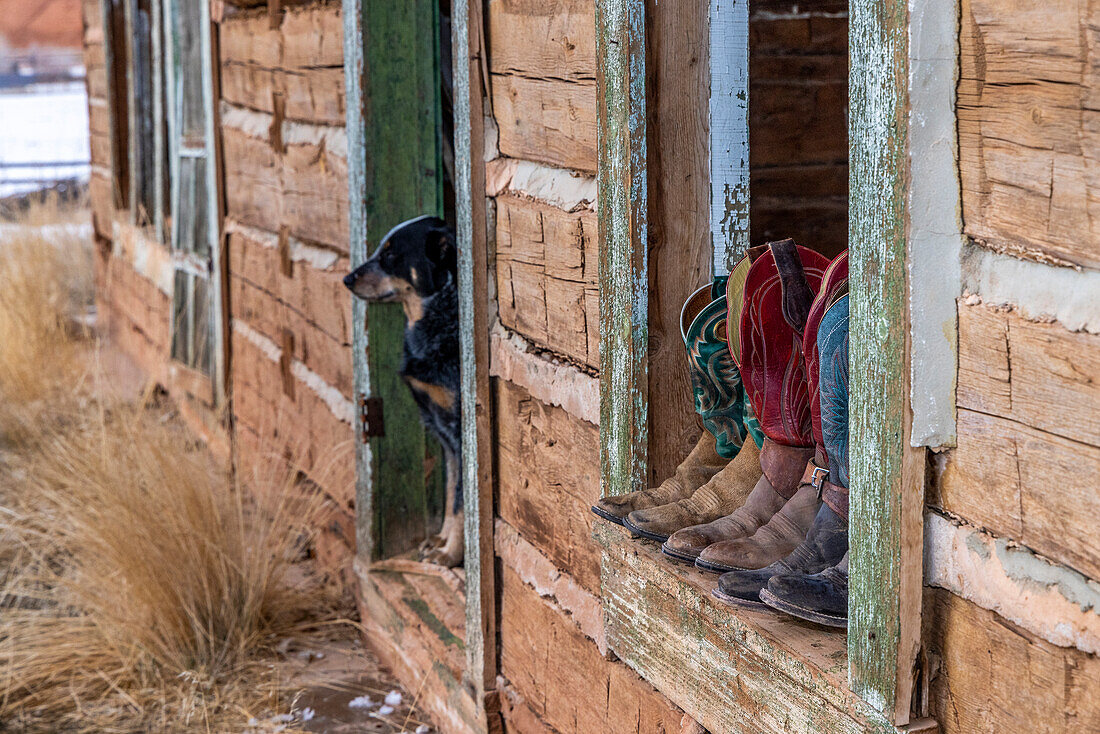 USA, Wyoming. Hideout Horse Ranch, boots on display. (PR)