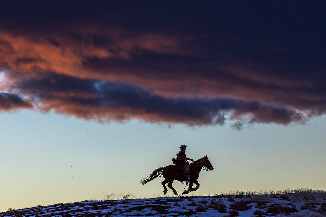 USA, Wyoming. Hideout Horse Ranch, wrangler and horse at sunset. (MR,PR)