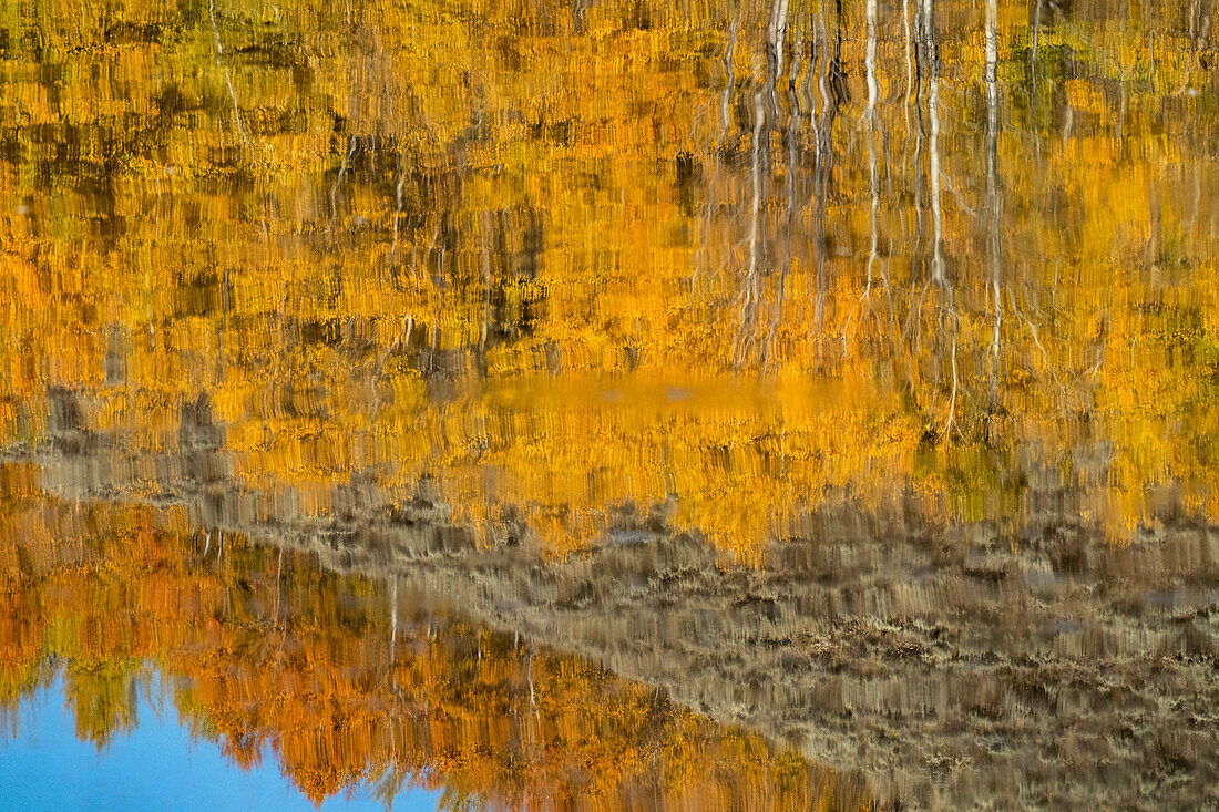 USA, Wyoming. Reflection of mountains and aspen at the Oxbow, Grand Teton National Park.