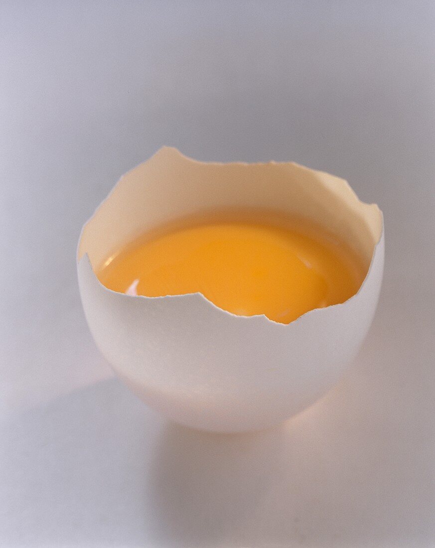 Egg Yolk in an Egg Shell