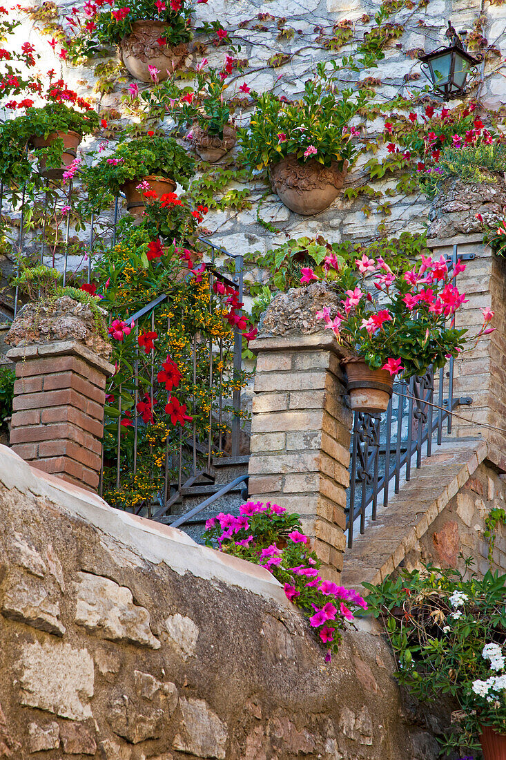 Italy, Umbria, Assisi. Entrance to a home with flowering pots on stone wall.