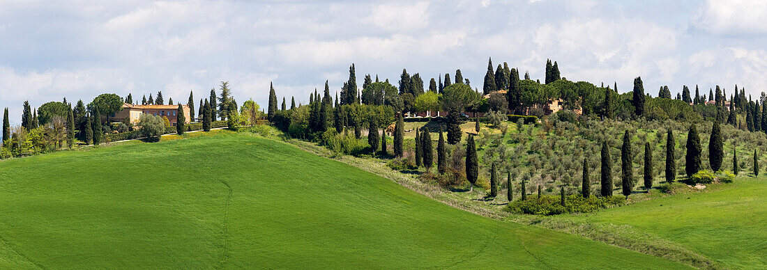 Toskanische Landschaft mit Bauernhof, Zypressen und Olivenbäumen. Toskana, Italien.