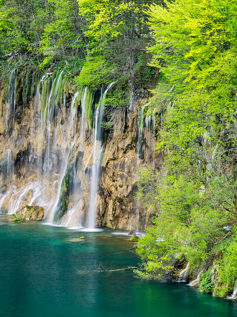 Croatia, Plitvice Lakes National Park. The Plitvice Lakes in the National Park Plitvicka Jezera in Croatia. The lakes are a UNESCO Would Heritage Site.