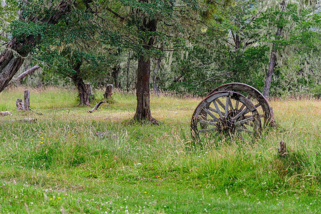 Chile, Aysen, Rio Baker. Old wooden wagon wheels.