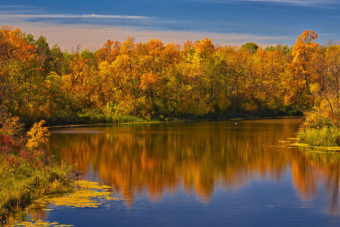 Kanada, Manitoba. Herbstszene, Grindstone Point Road und Highway 8.