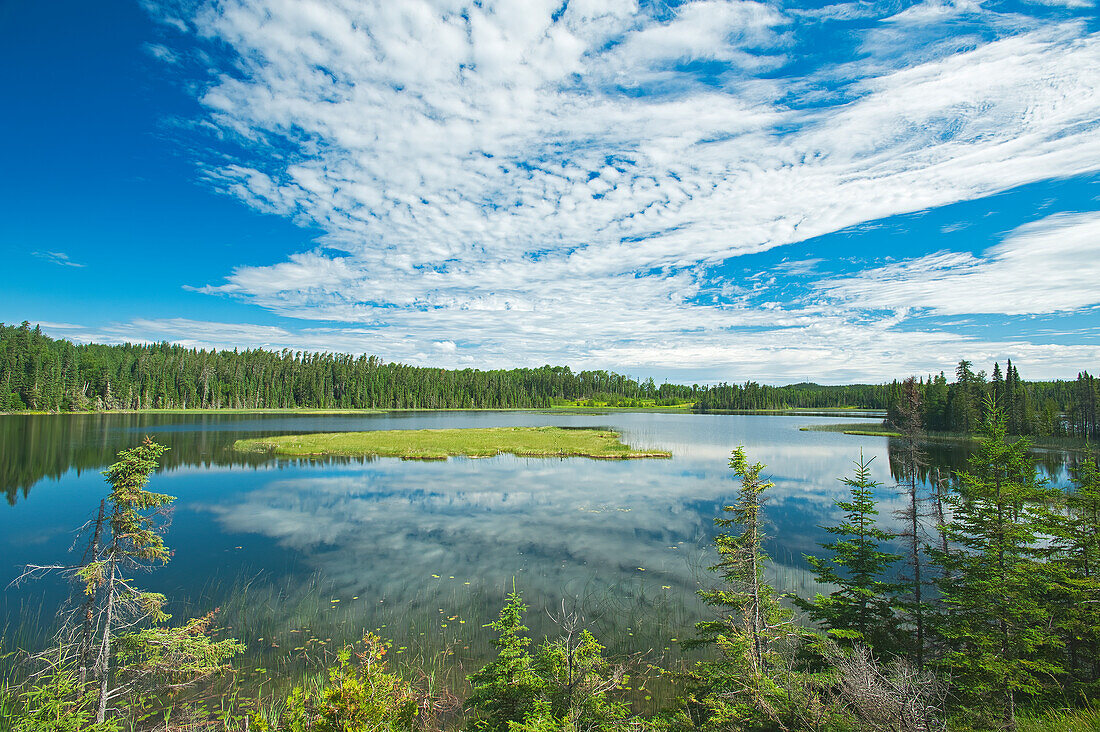 Kanada, Ontario, Longlac. Wolken und Feuchtgebiet in einem borealen Wald.