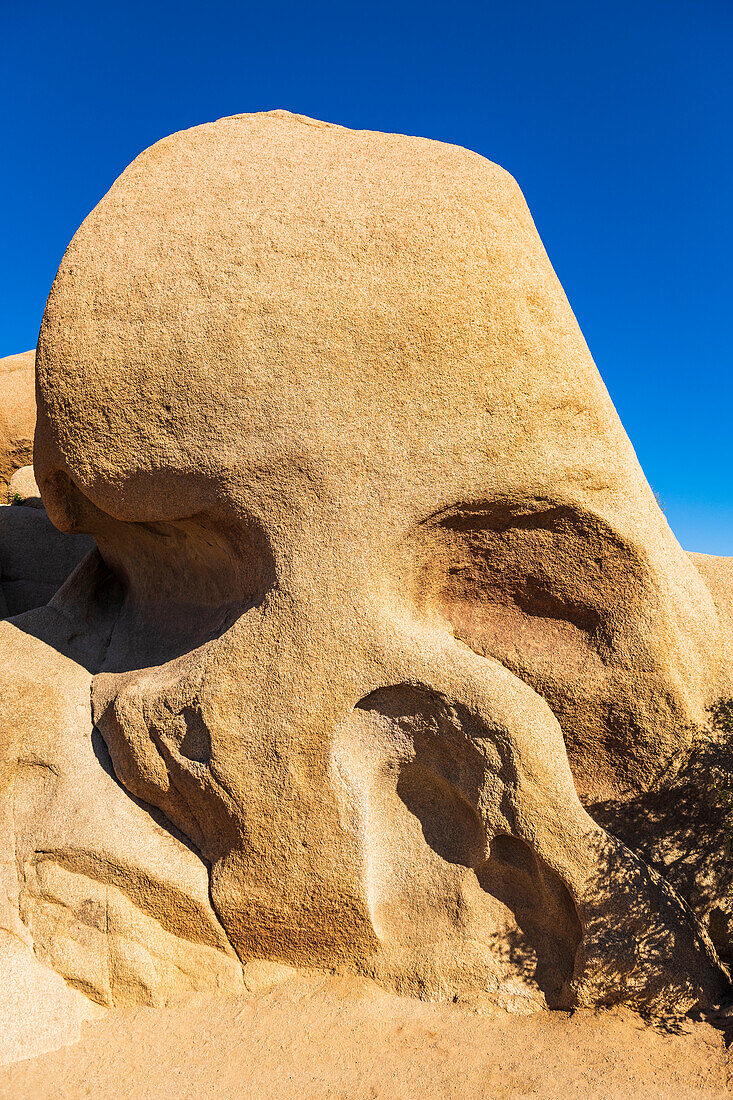 Skull Rock, Joshua Tree National Park, California, USA