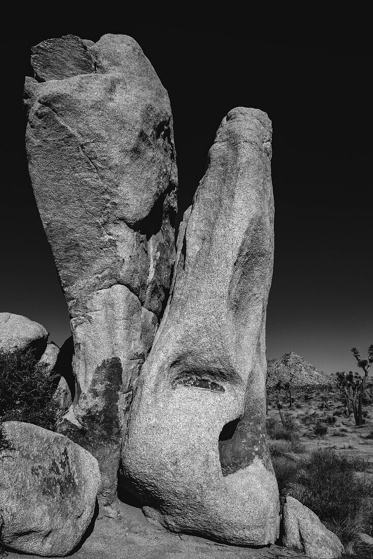 Joshua Tree National Park, Kalifornien