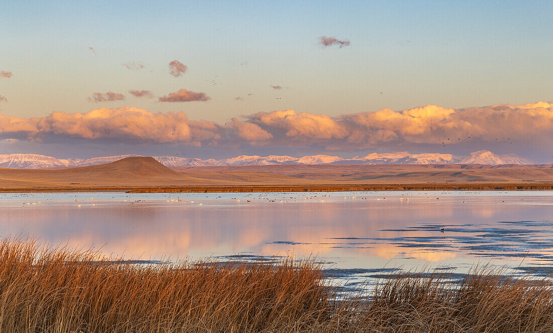 Wetlands pond at sunrise at Freezeout Lake Wildlife Management Area near Choteau, Montana, USA