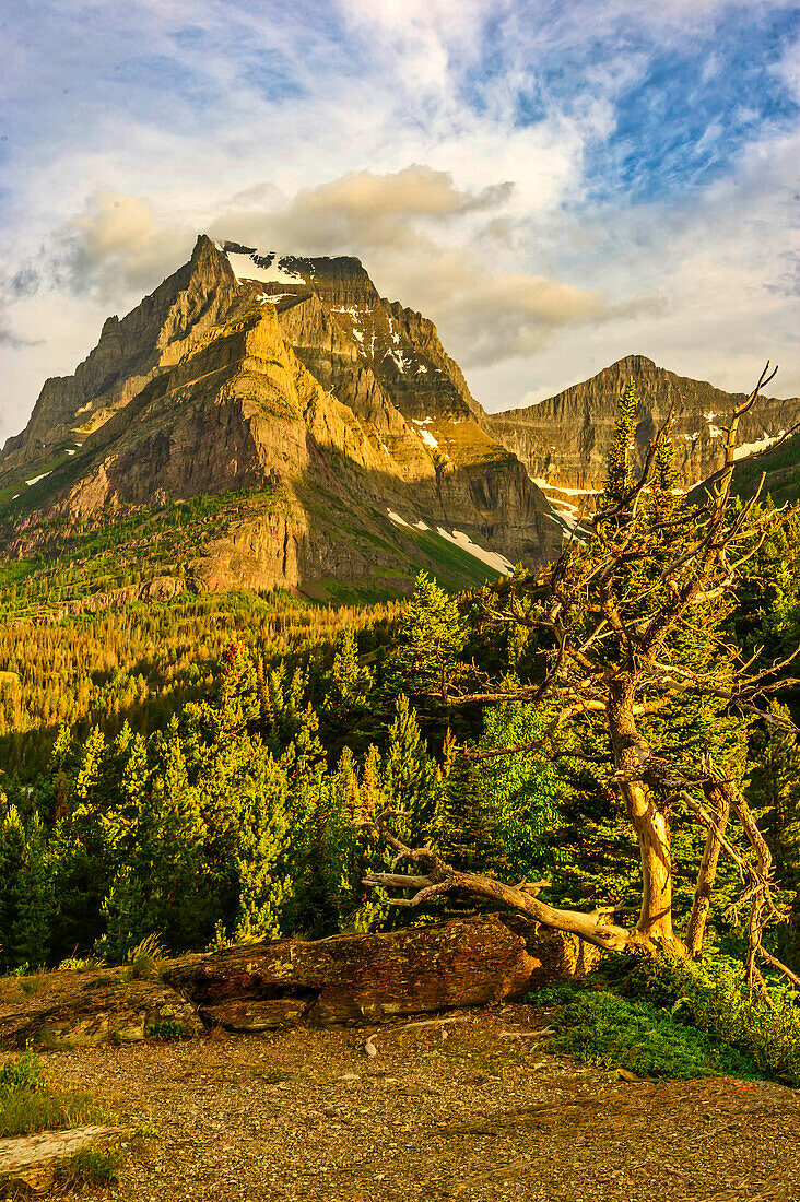 Going-to-the-Sun Road, Glacier National Park