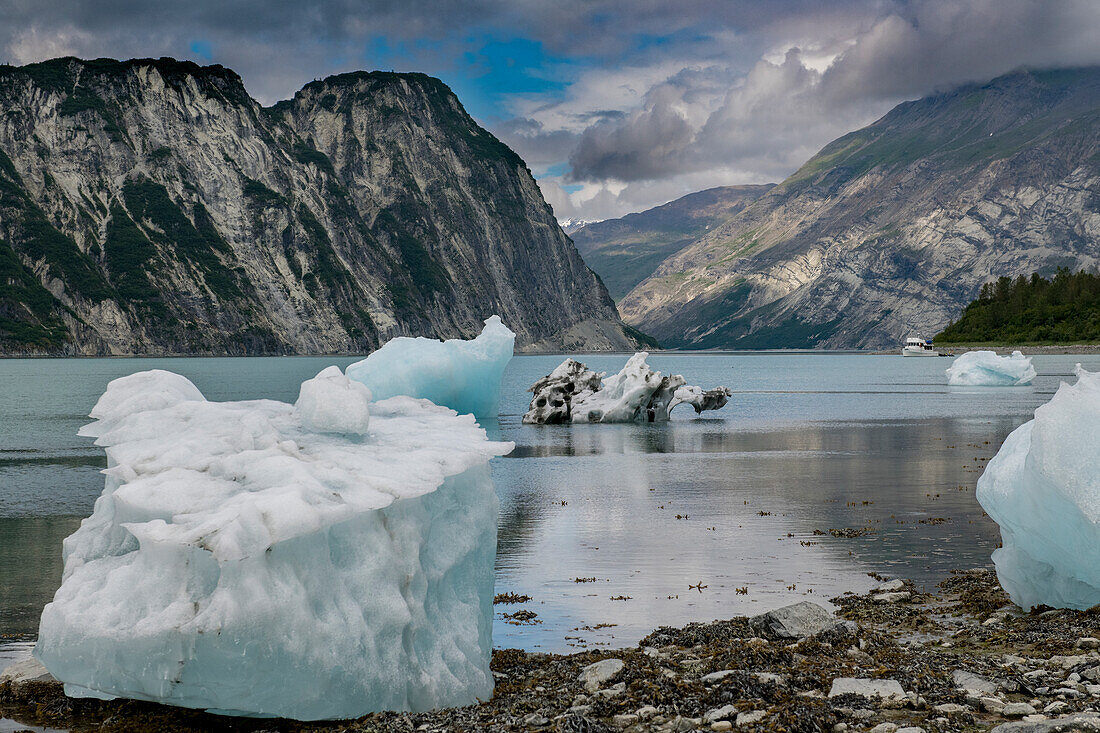 Beached icebergs from nearby McBride Glacier sit on a Muir Inlet beach.