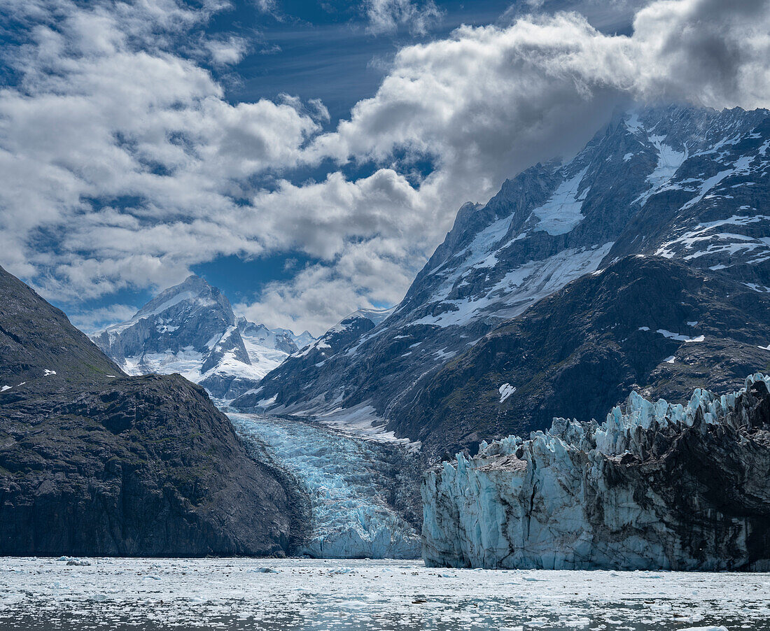High mountains surrounding Johns Hopkins Inlet generate numerous glaciers.