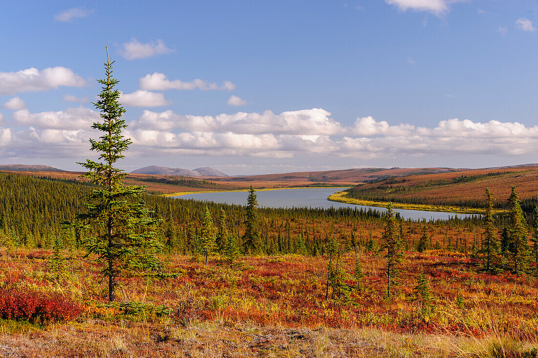 USA, Alaska, Kotzebue, Noatak River. Herbstfarben entlang des Noatak River.