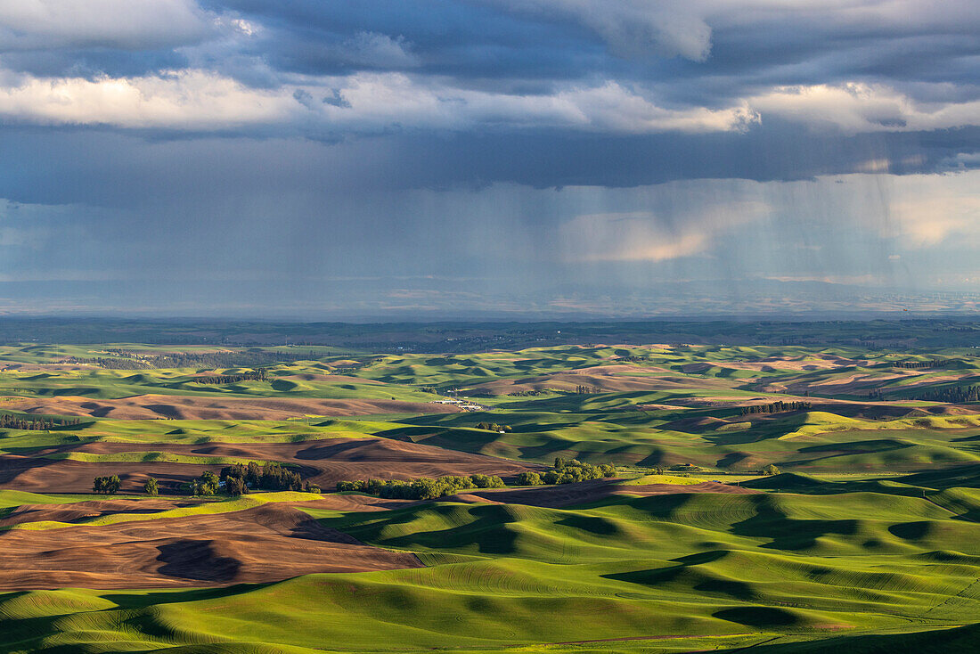 Gewitterwolken über sanften Hügeln von Steptoe Butte bei Colfax, Bundesstaat Washington, USA