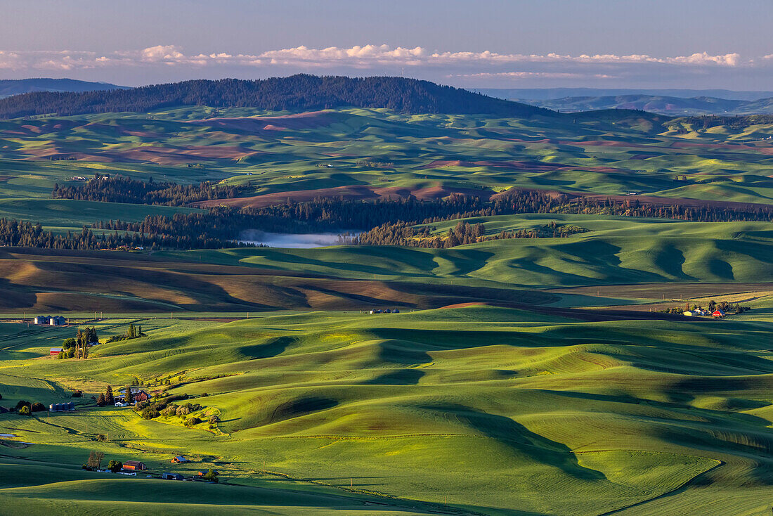 Hügellandschaft mit Scheunen von Steptoe Butte bei Colfax, Washington State, USA