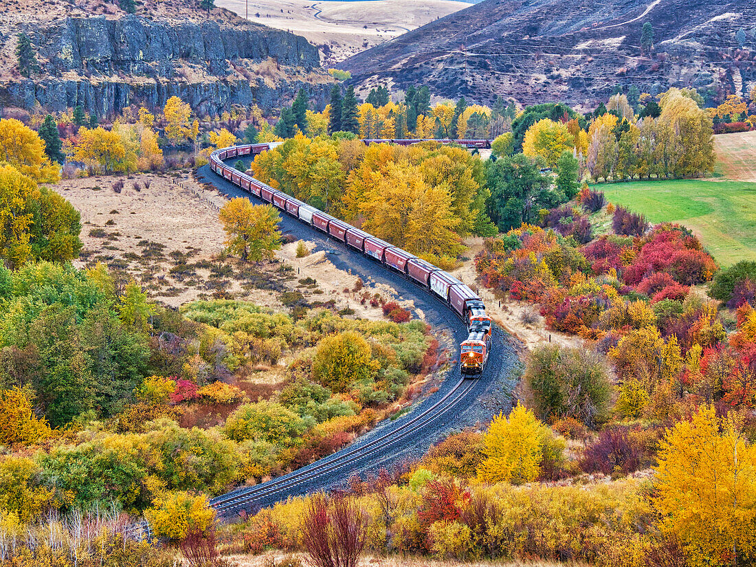 USA, Washington State, Kittitas County. Burlington Northern Santa Fe train along the Yakima River.