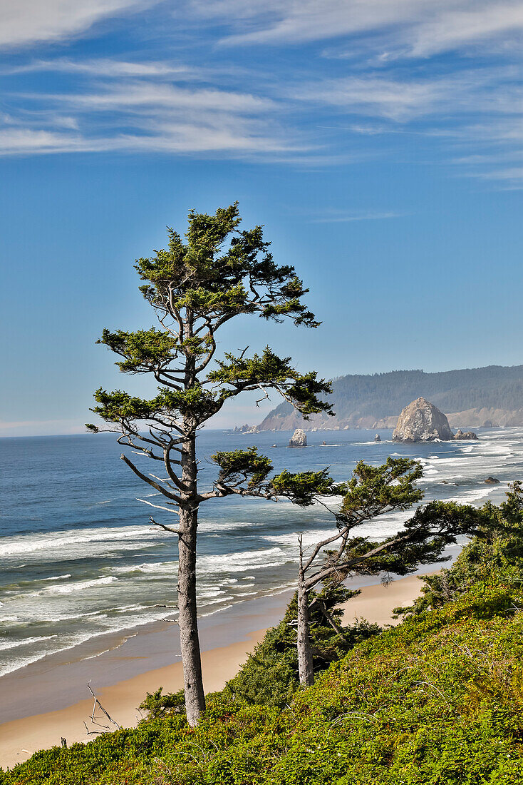 USA, Oregon. Cannon Beach mit Haystack