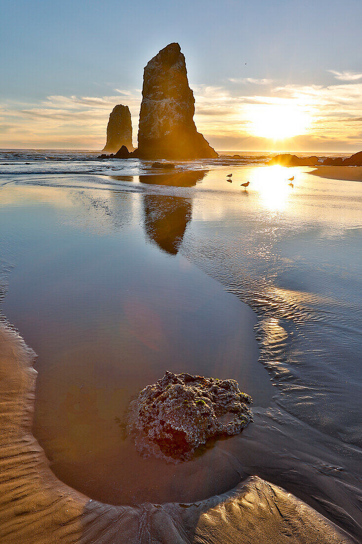 USA, Oregon. Cannon Beach low tide and ripples in the sand and sea stacks at sunset.