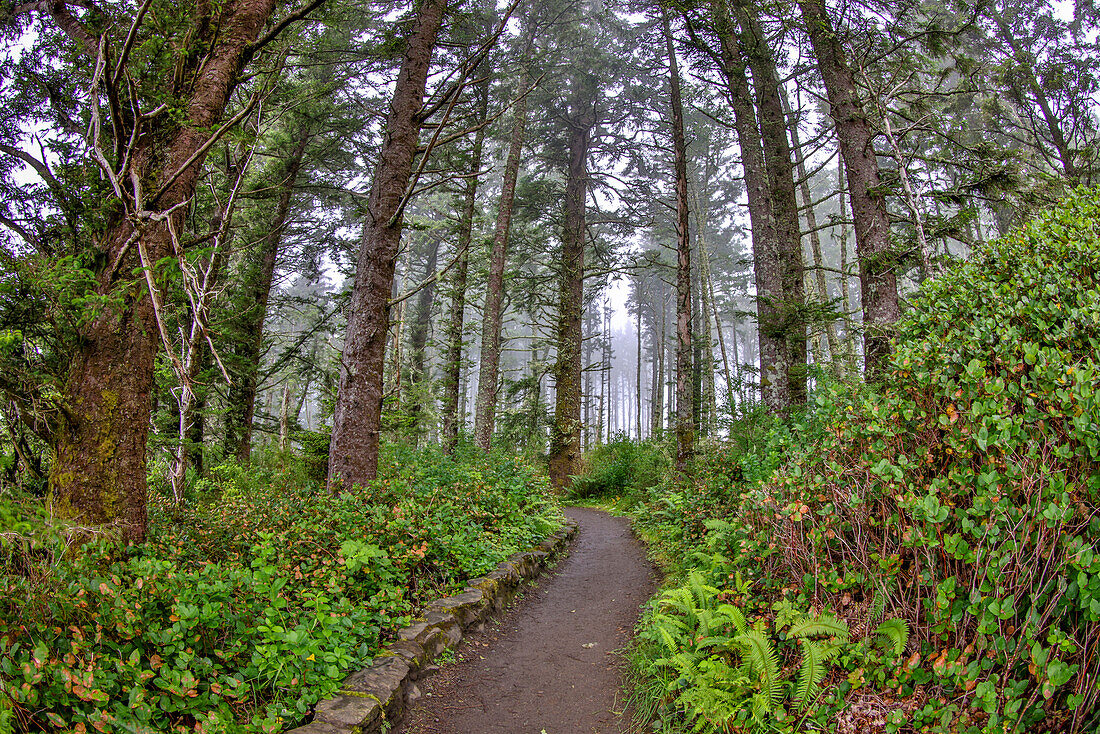 U.S.A., Oregon, Yachats. Kap Perpetua