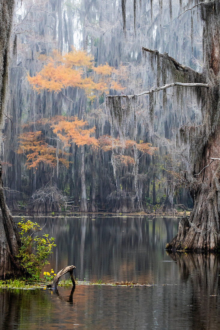 Caddo-See, Texas