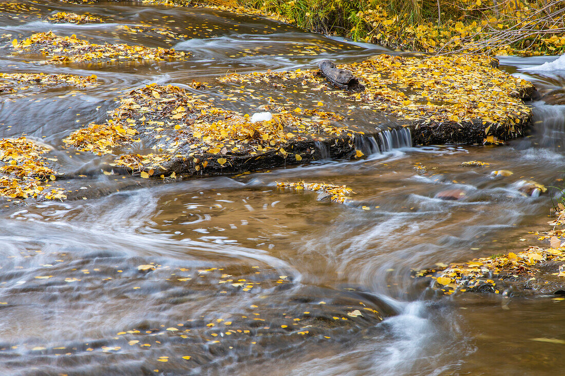 USA, Utah, Calf Creek Recreation Area im Herbst.