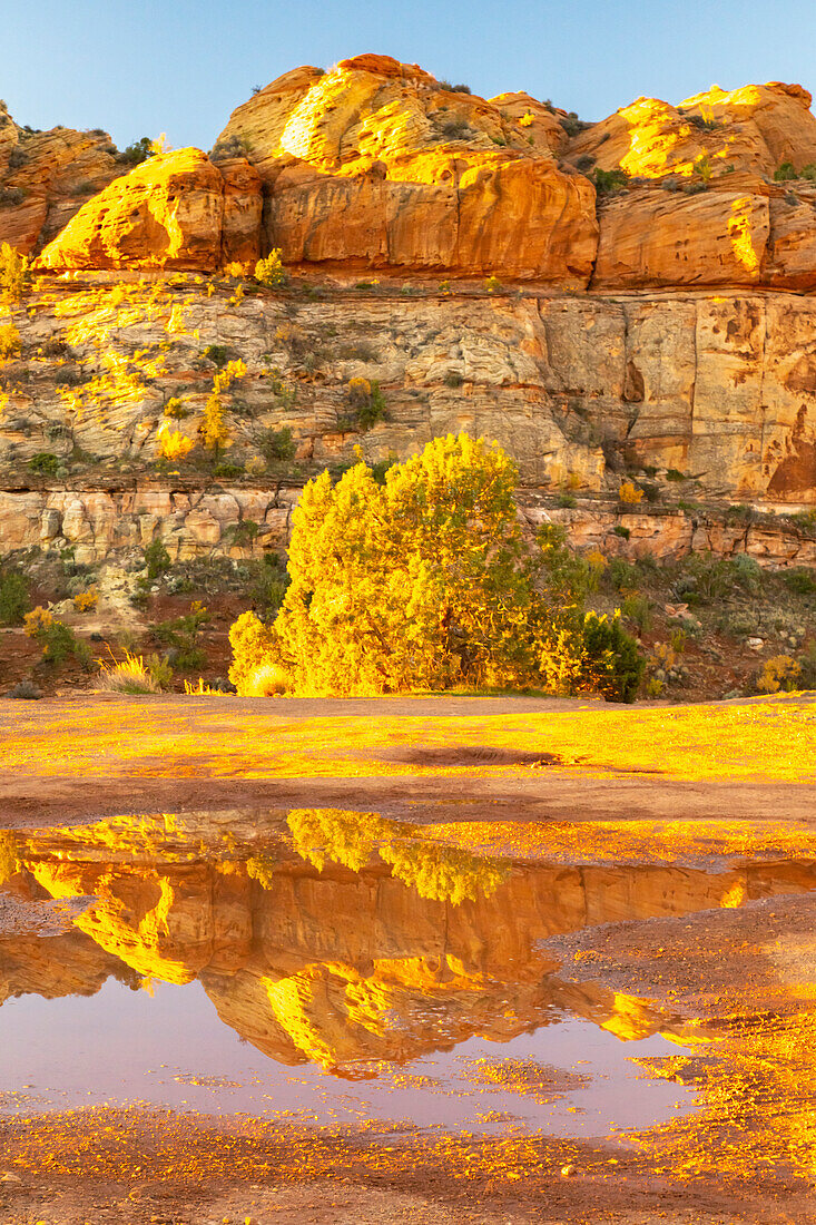 USA, Utah, Grand Staircase Escalante National Monument. Reflections in Escalante River Basin water.