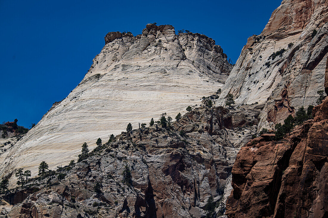 Die ikonische Checkerboard Mesa liegt in der Nähe der Hauptstraße durch den Zion National Park.